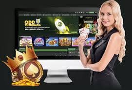 5l bet